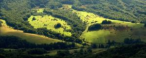 Bieszczady