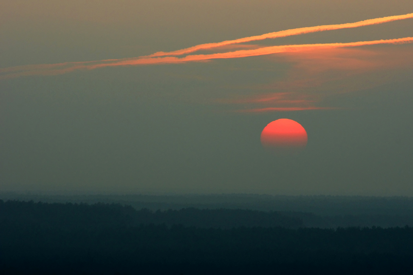 Nad Puszczą Solską...