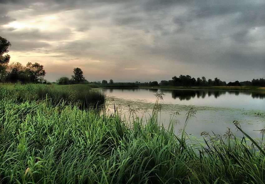 kraina marzeń