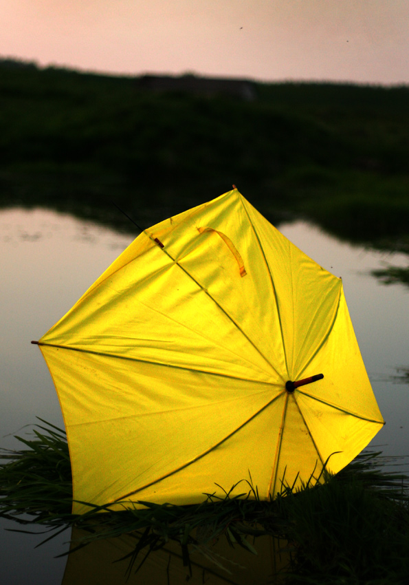 Parasol