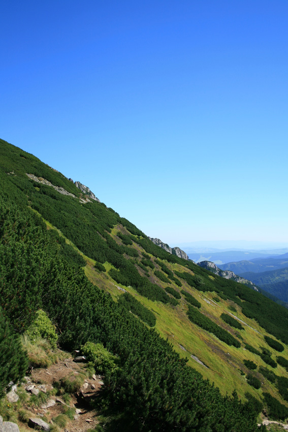 W drodze na Giewont