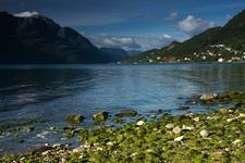 Lusterfiord