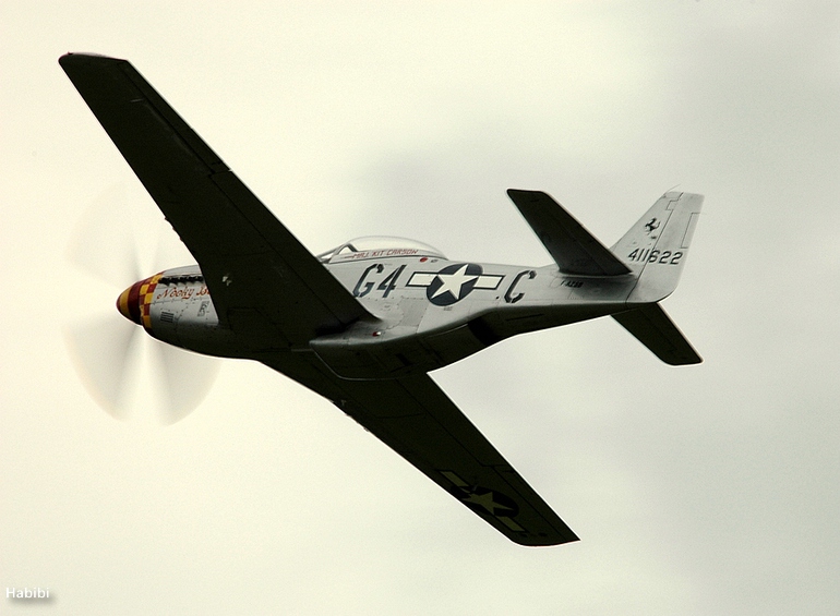 Mustang P-51D