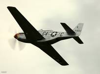 Mustang P-51D