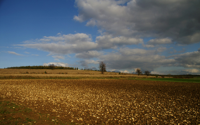 Mstów jesienny