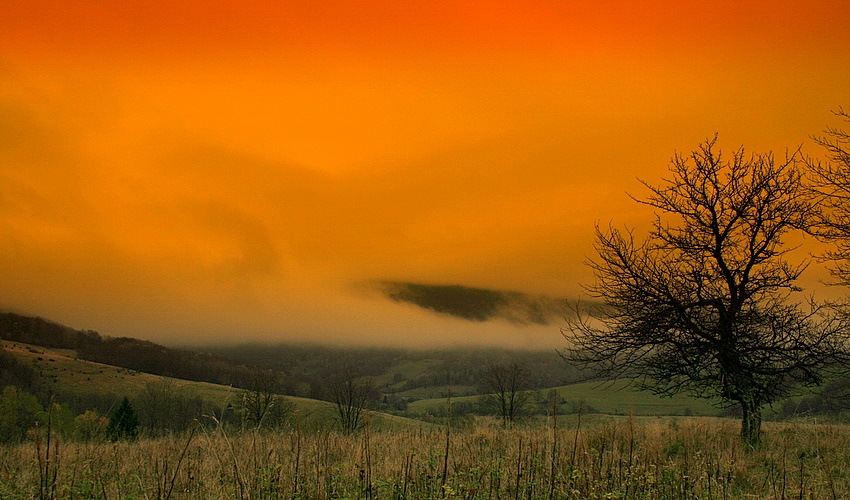 Bieszczady