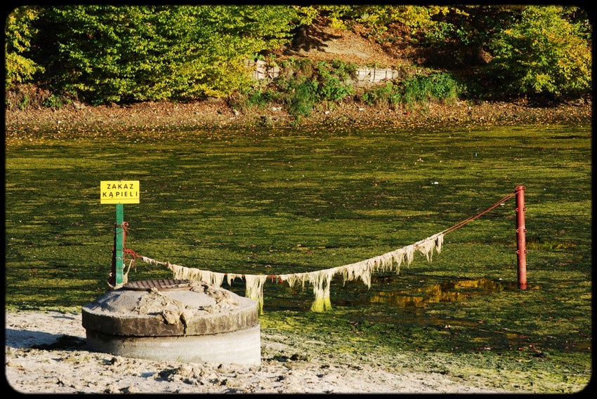 SPA...dajcie stąd...