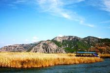 Dalyan