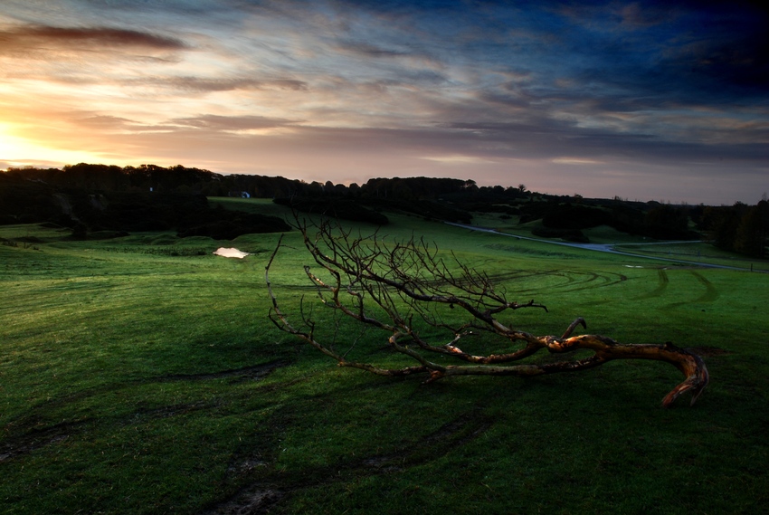 The Curragh Lands