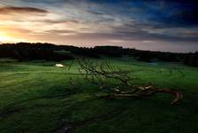 The Curragh Lands