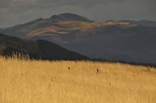 Bieszczady