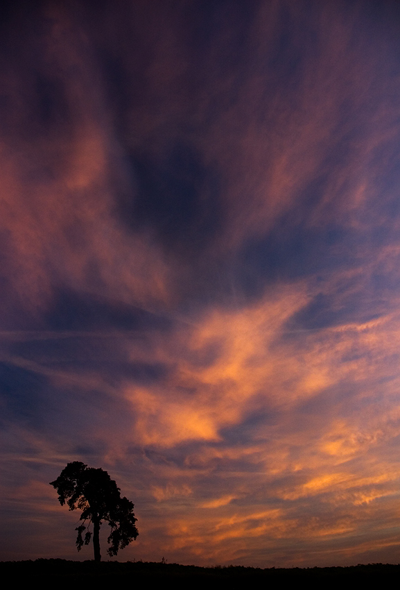 Kasatochi volcanic sky