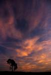 Kasatochi volcanic sky