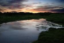 The Curragh Lands #2