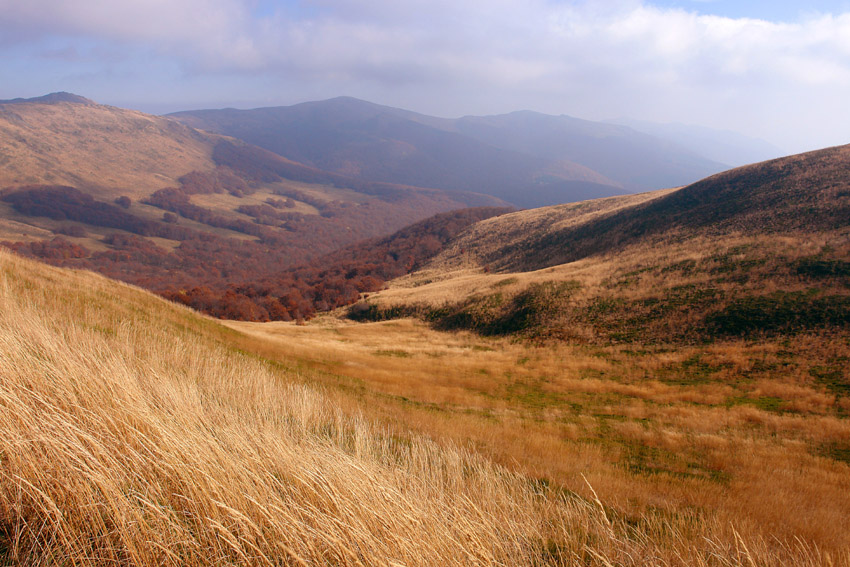 Halicz - Bieszczady