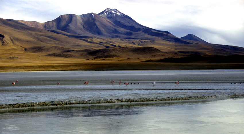 laguna colorada