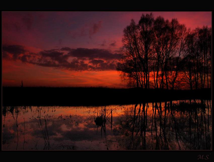 Nocne cudeńka