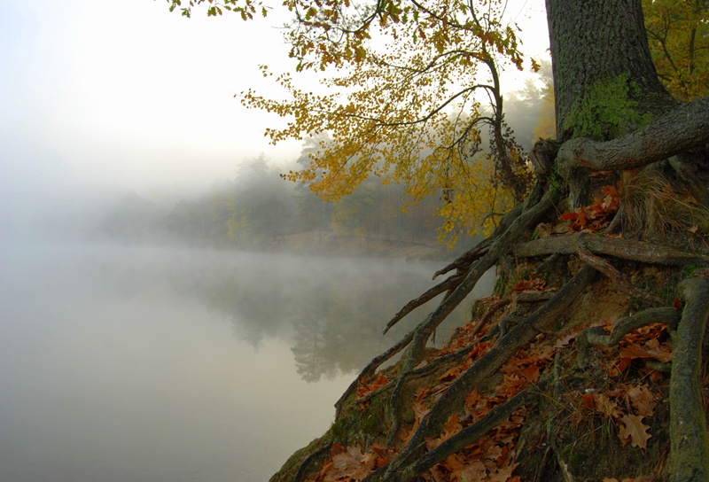 jezioro mgieł