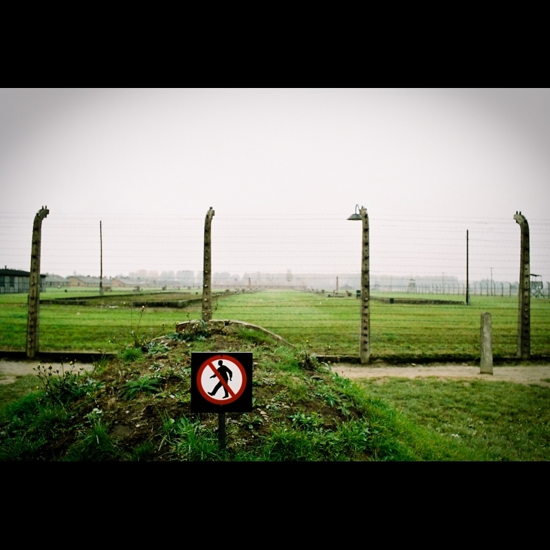 Pocztówka z Birkenau