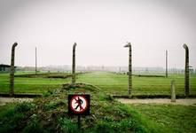 Pocztówka z Birkenau