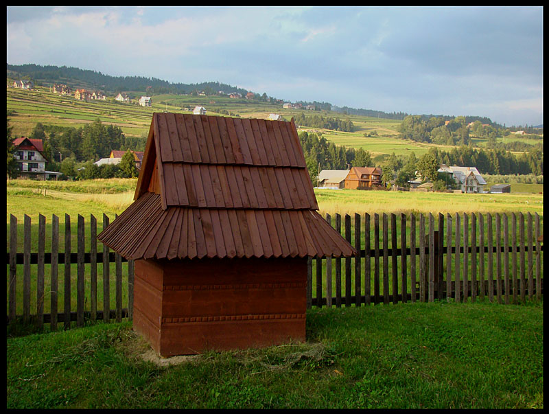 widoczek podhalański