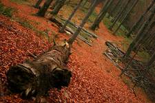 Bieszczady vol.I