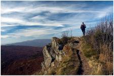 Bieszczady, Bukowe Berdo