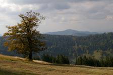 beskid śląski