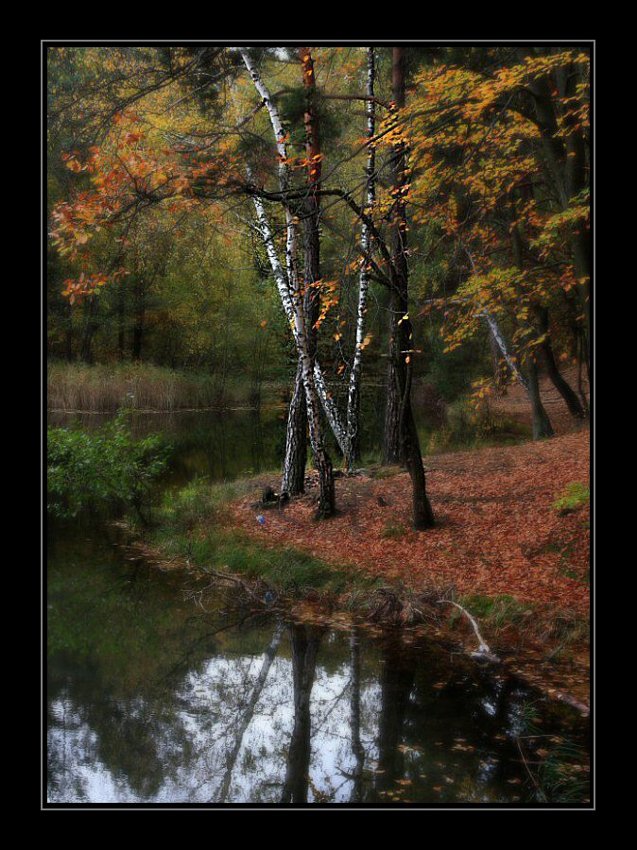 Golejów