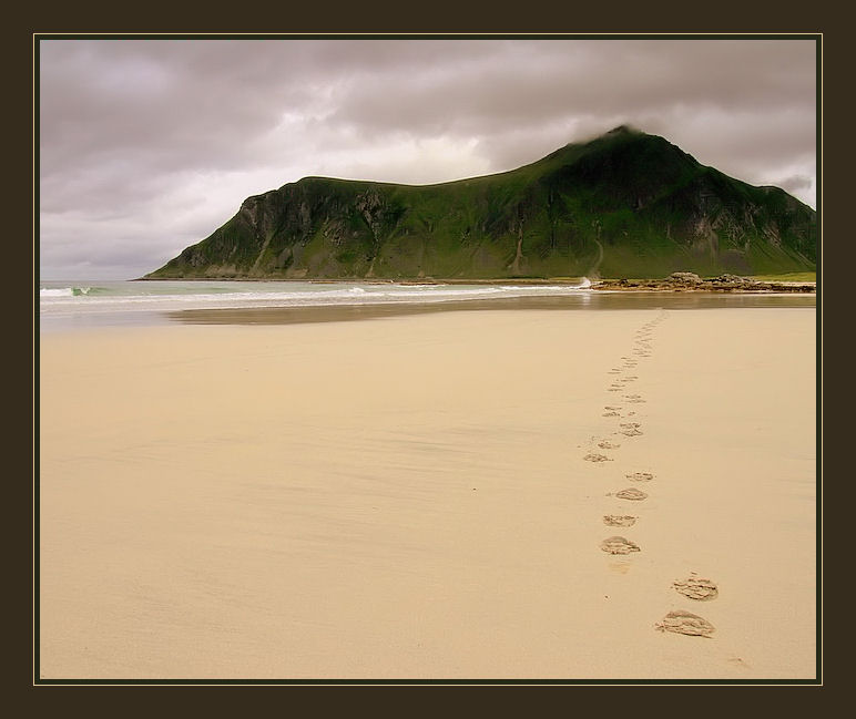 LOFOTEN TRAILS