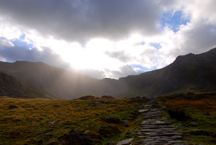 Walia - snowdonia