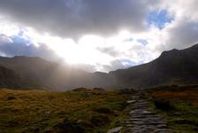 Walia - snowdonia