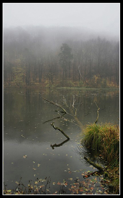 Mglisty poranek nad stawem...