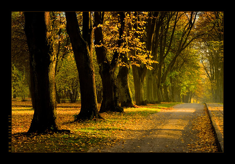 Park Zdrojowy, Rabka