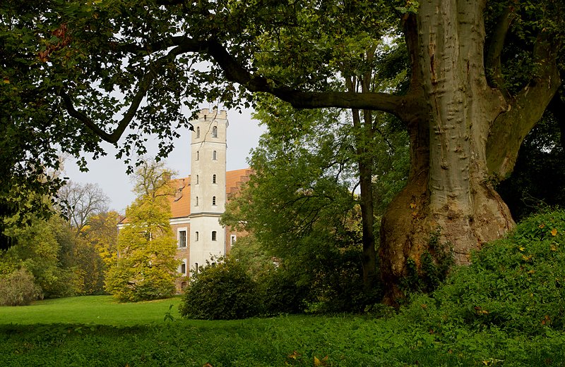 Pałac w Grocholinie