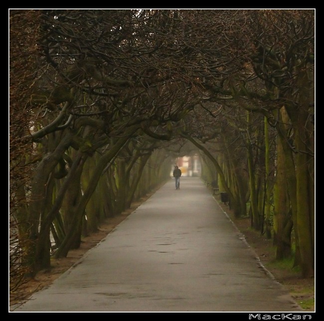 Park w Gdańsku Oliwie- naprawdę późna jesień