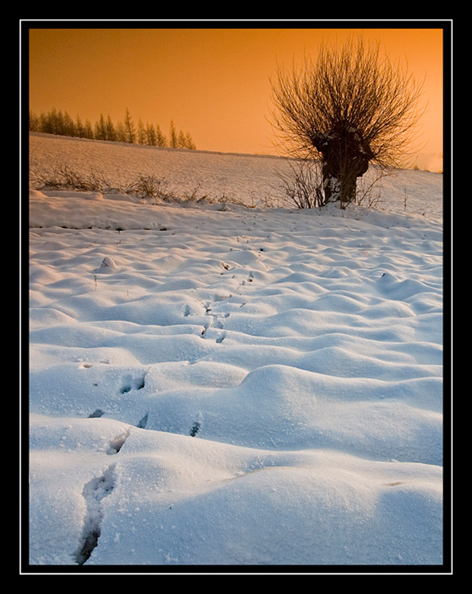 Beskid Sądecki