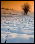 Beskid Sądecki