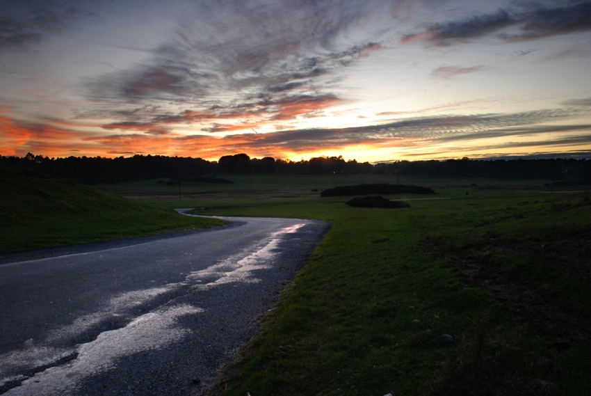 The Curragh Lands #3