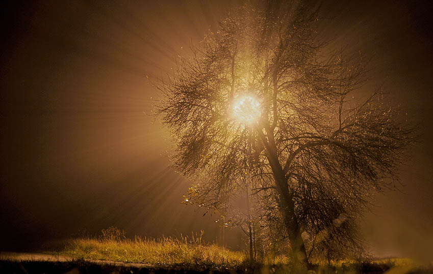 Night fog...