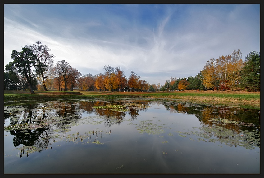 Autumn picture