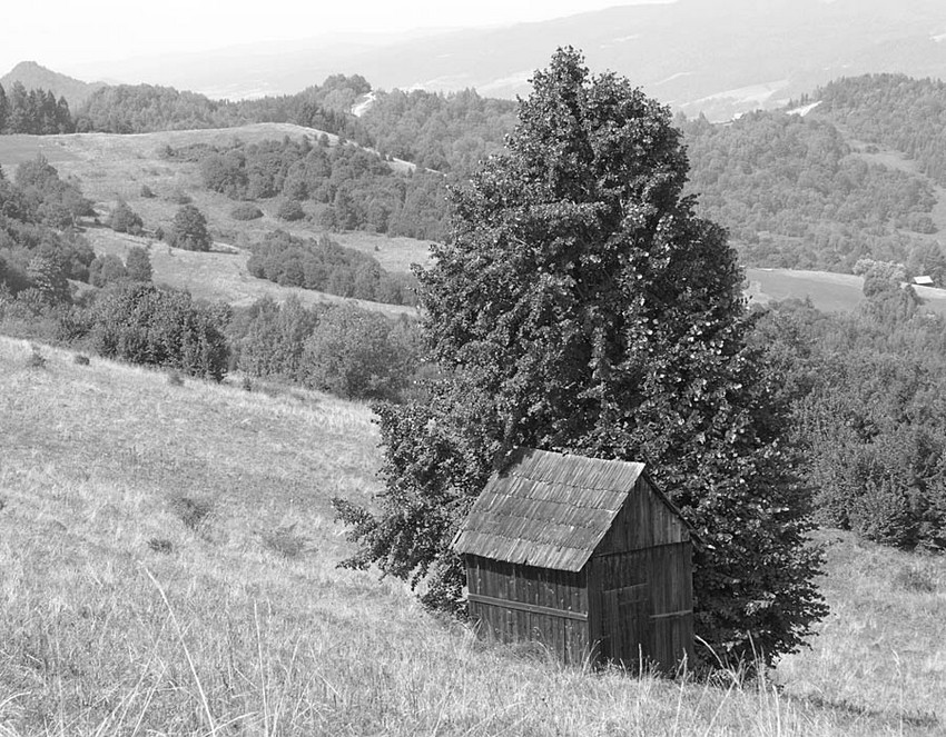 Pieniny