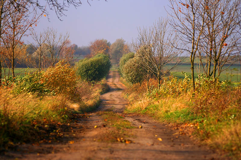 mzaurskie klimaty