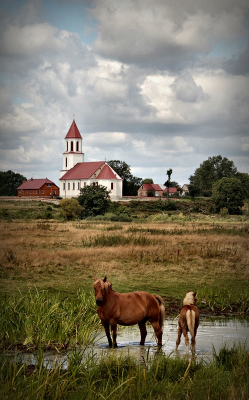 Podlaskie plenery ...