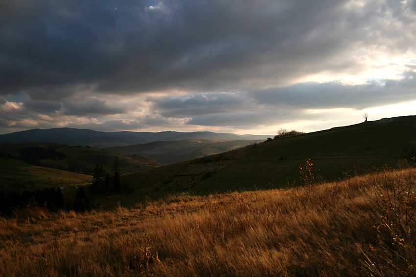 Beskid Wyspowy, Czarny Dział