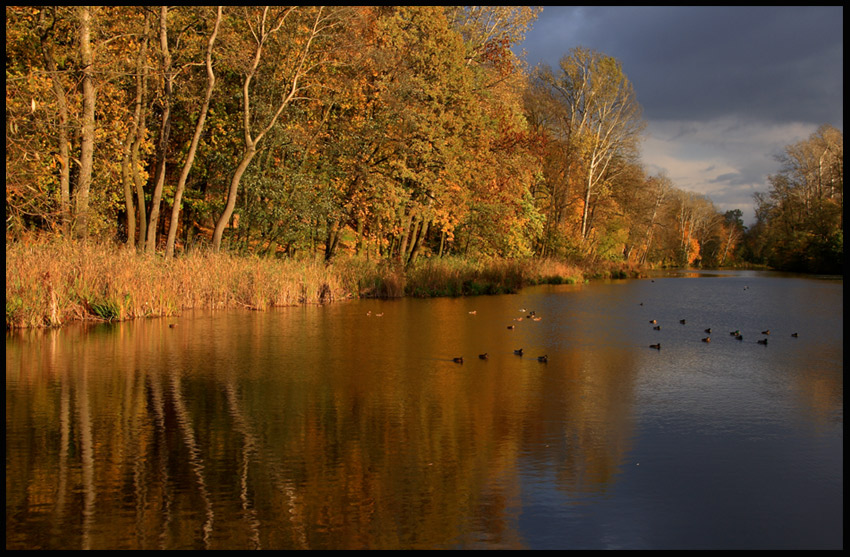 jesienny park