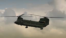 Chinook