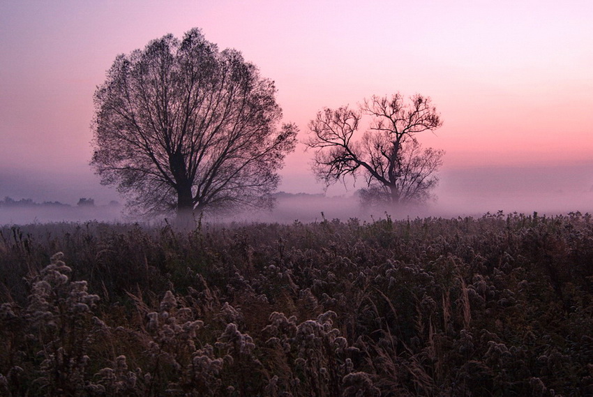 Październik