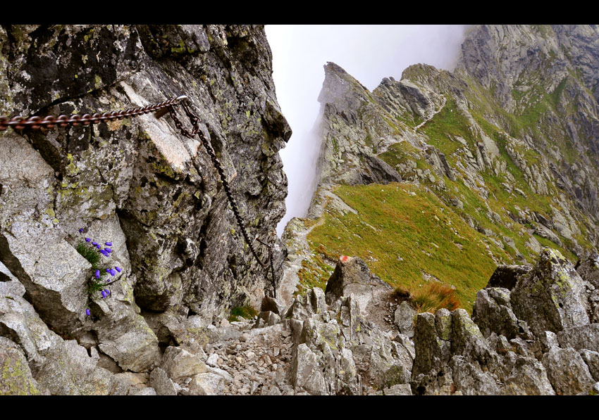 ... Tatry 2008 ...