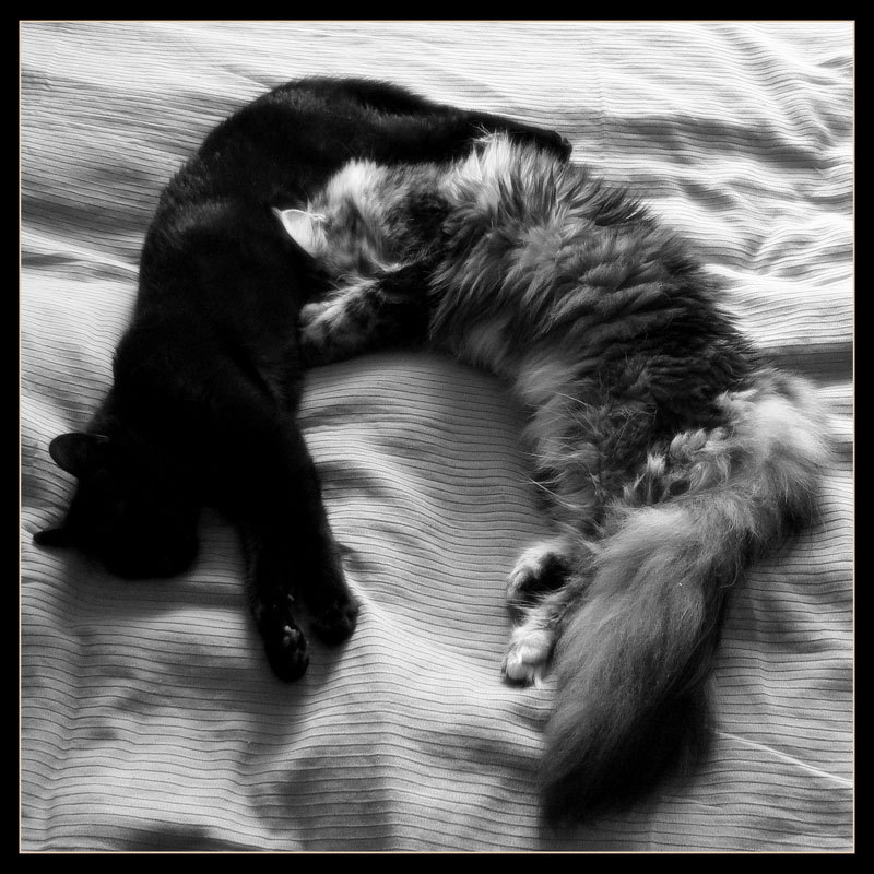 Yin i Yang :)